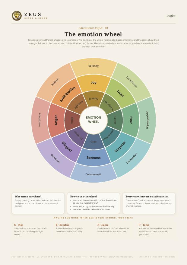 Emotion wheel