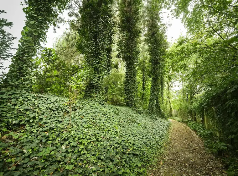Ogród i przestrzeń na oddech