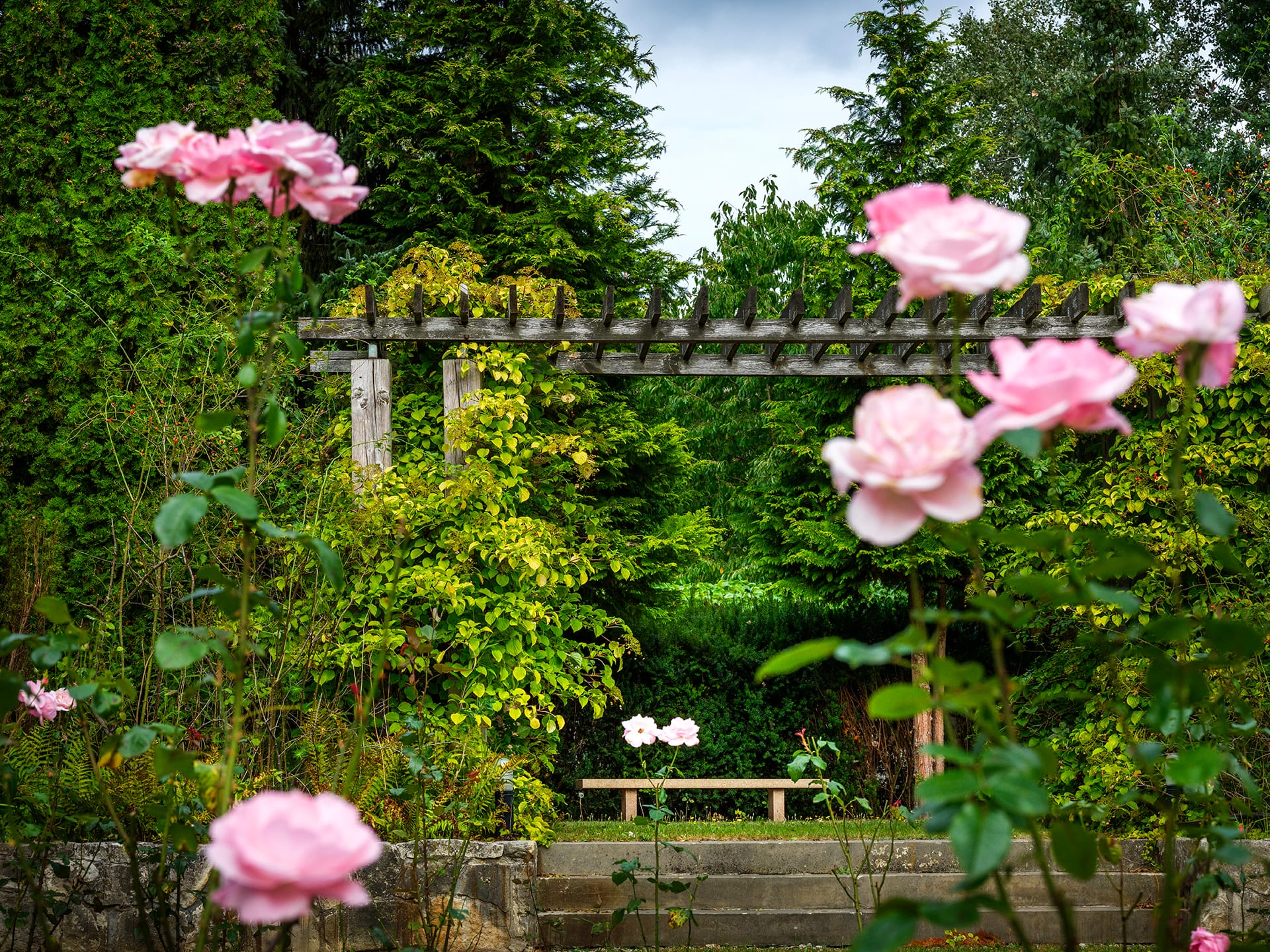 Ogród różany na terenie ośrodka leczenia, zieleń i kwiaty