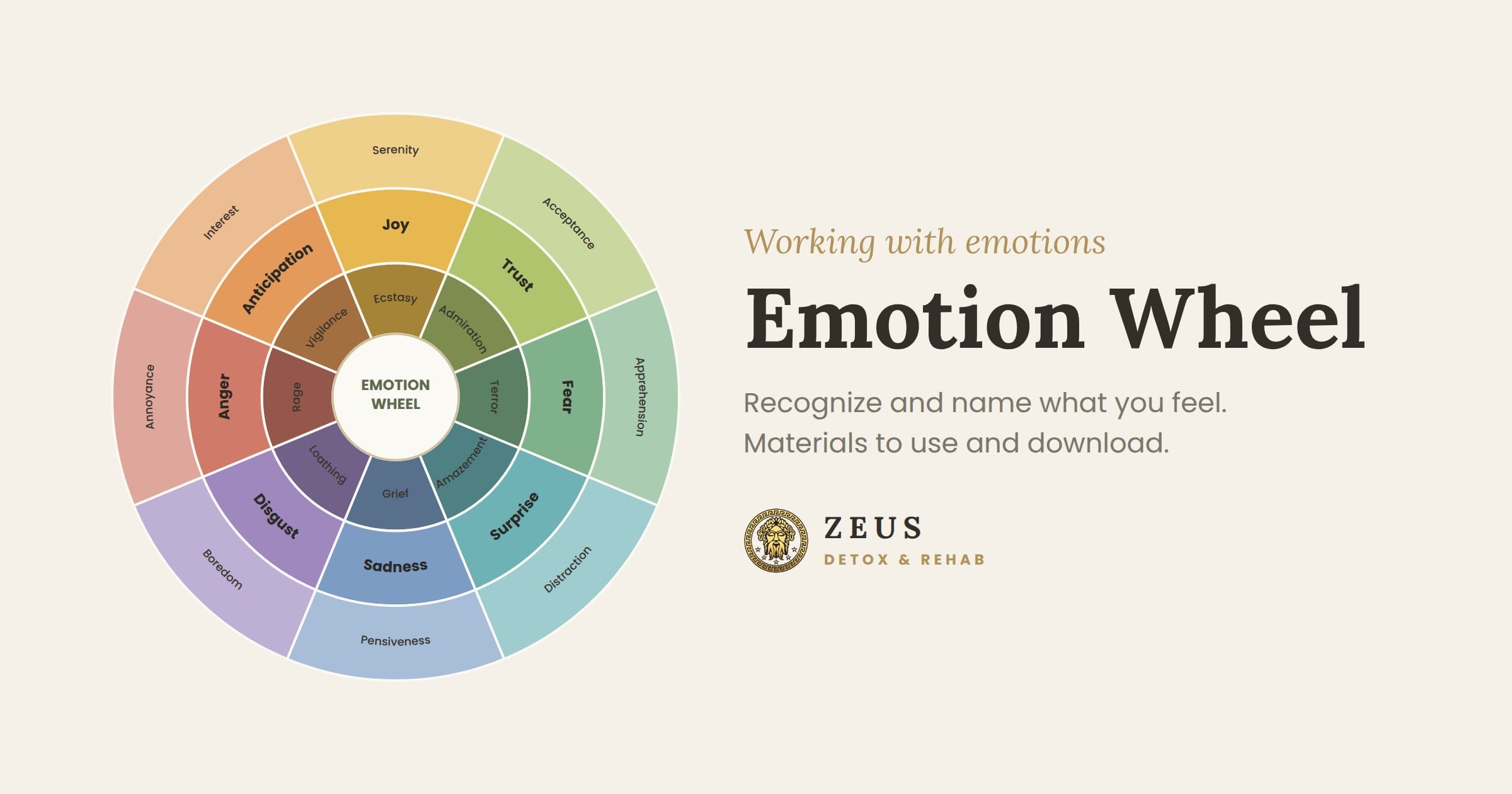 Emotion wheel used in adolescent therapy to work on emotional regulation