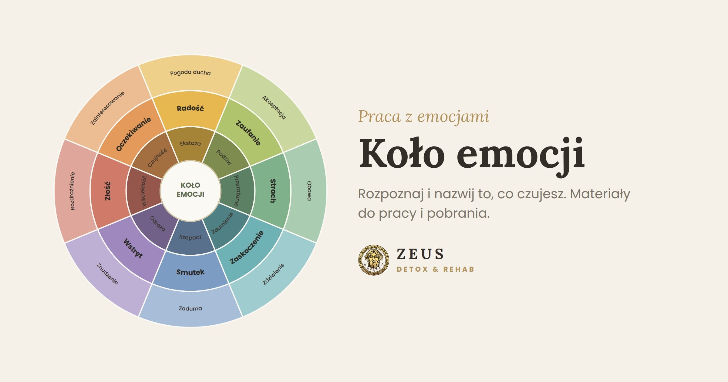 Koło emocji, narzędzie pracy nad regulacją emocji w terapii młodzieży