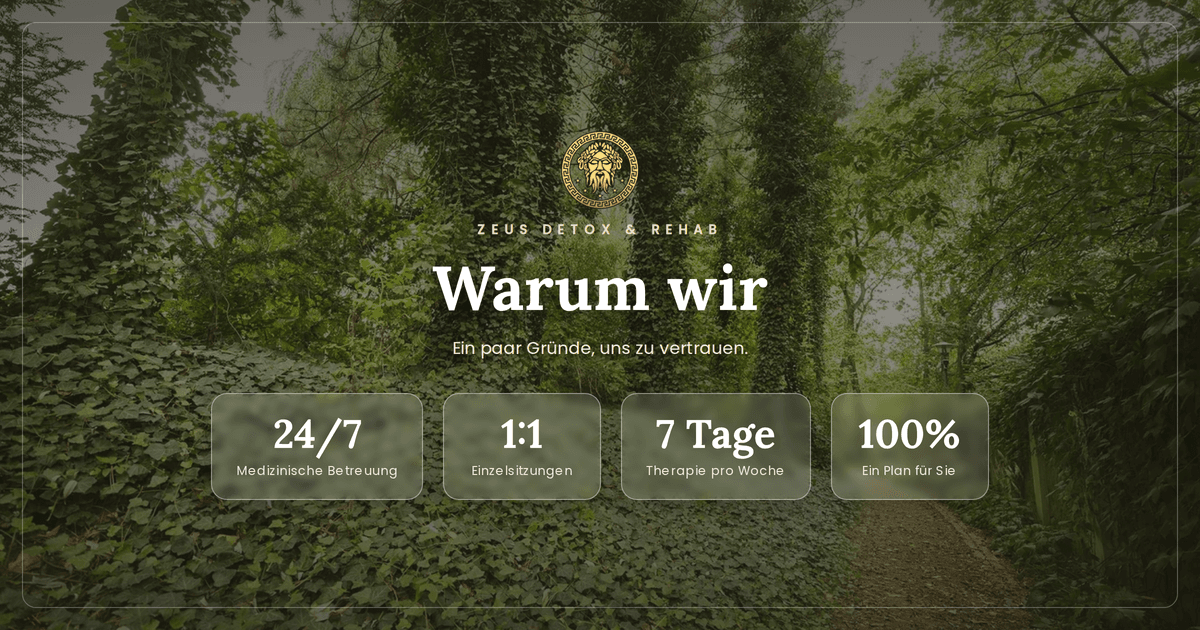 Warum Patienten sich für Zeus Detox and Rehab entscheiden