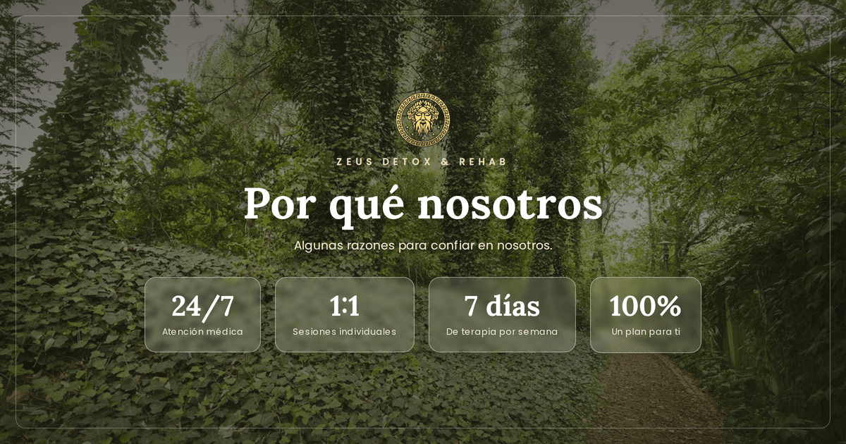 Razones por las que los pacientes eligen Zeus Detox and Rehab