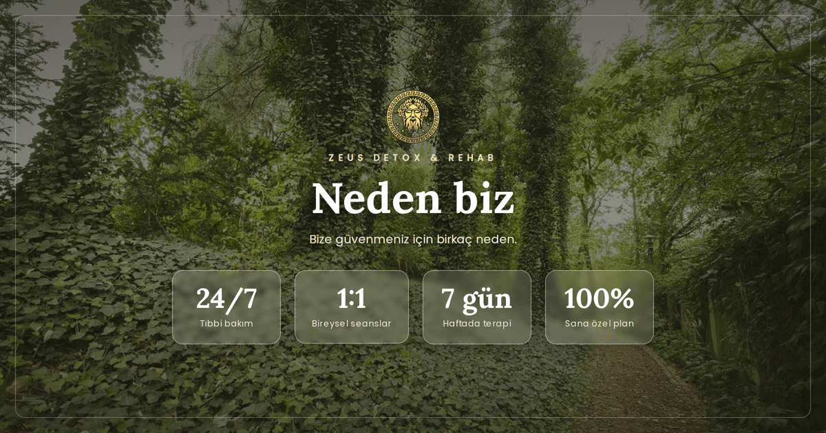 Hastalar neden Zeus Detox and Rehab'ı seçiyor
