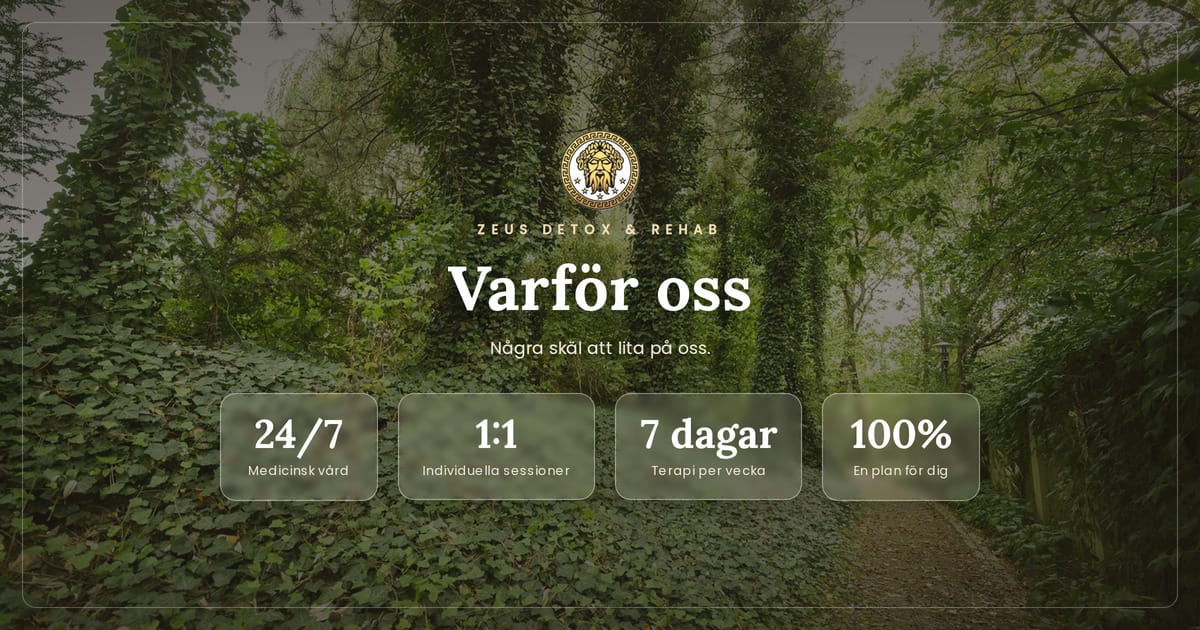 Varför patienter väljer Zeus Detox and Rehab